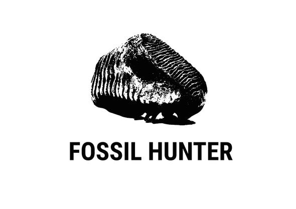 logo fossil hunter