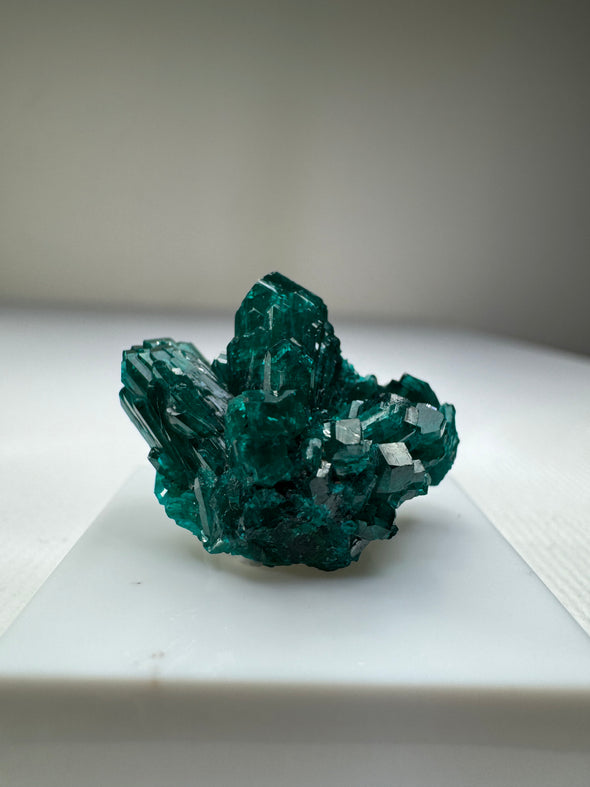 Dioptase 022