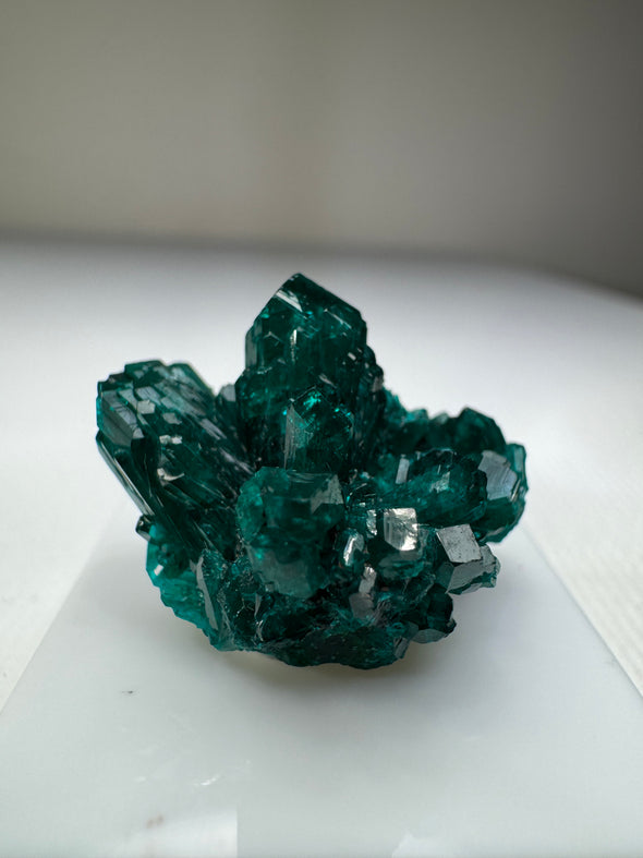 Dioptase 022