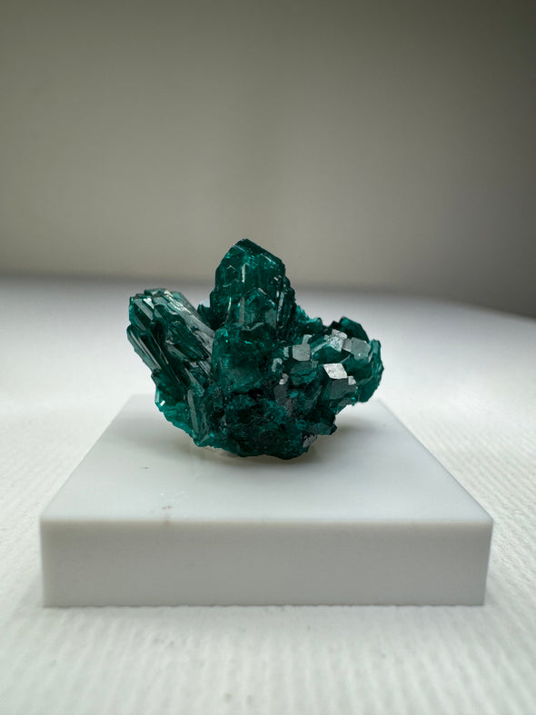 Dioptase 022