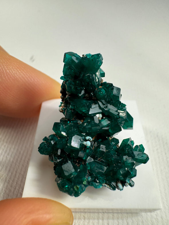 Dioptase 033