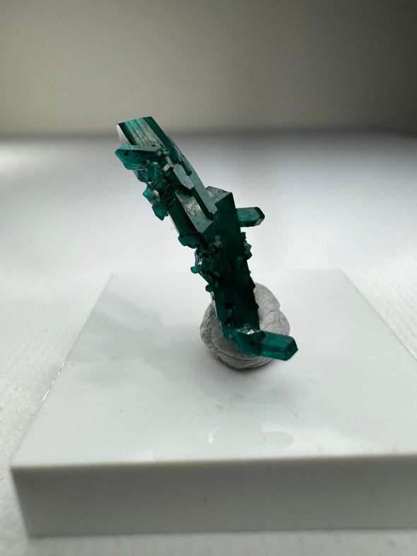 Dioptase 038