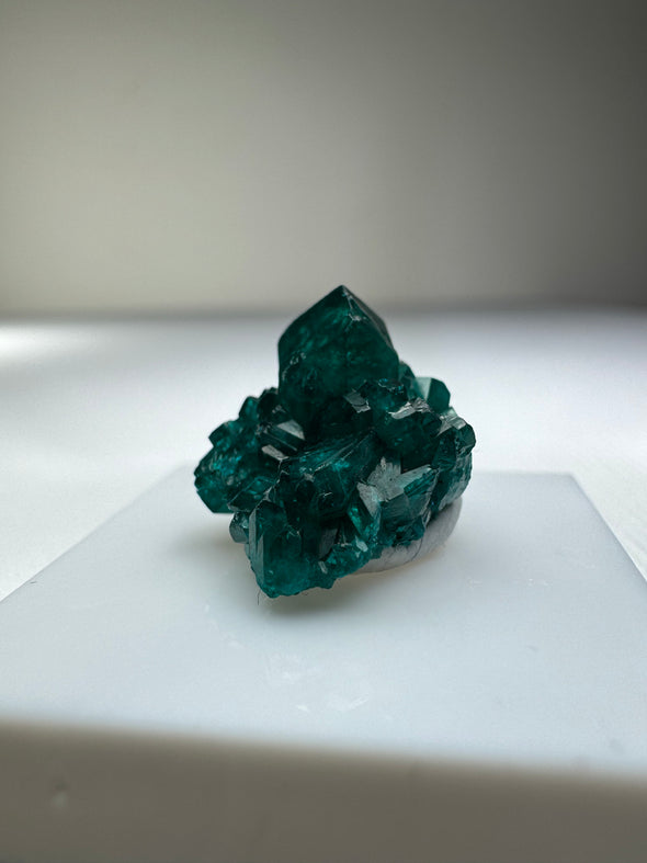 Dioptase 040