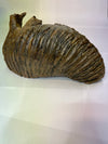 Real Wolly Mammoth Molar - second top view
