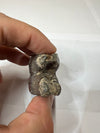 Coelodonta Antiquitatis Tooth - Prehistoric Treasure