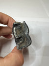 Fossilized Rhinoceros Jaw Tooth - Pleistocene Find