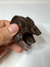 Woolly Rhinoceros Tooth From Skull - details