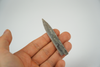 belemnite fossil held in a hand
