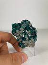 Dioptase with calcite - side view