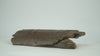 mammoth tusk for sale 360 view